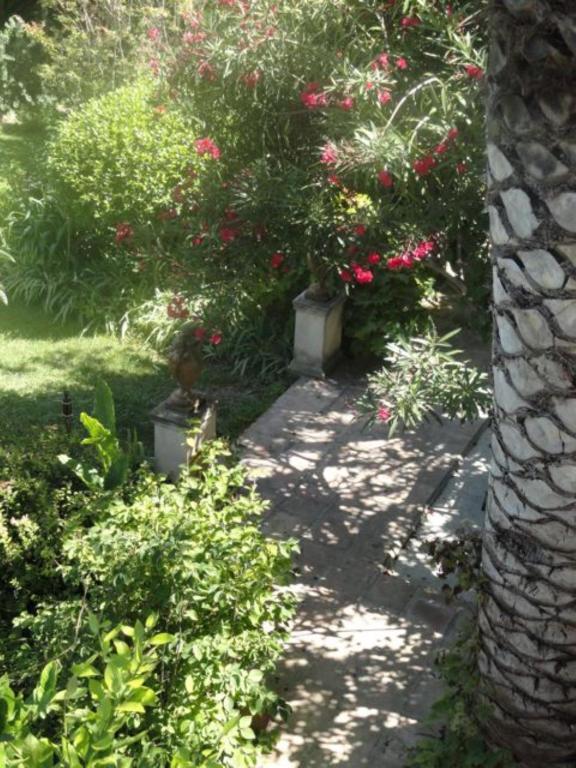 Casa Montes Bed & Breakfast Salses-le-Chateau Exterior foto